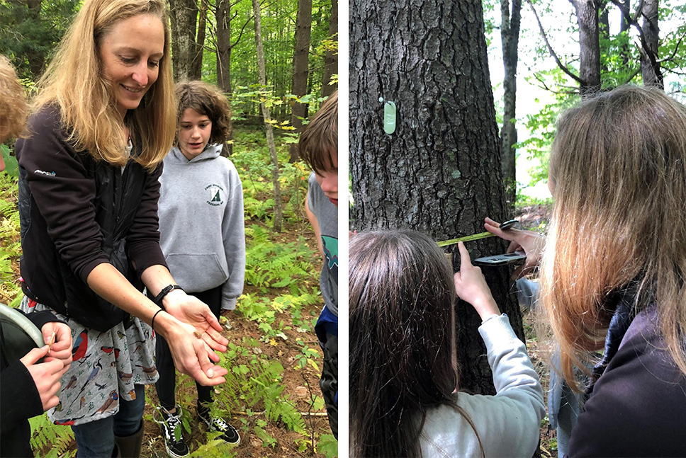 A teacher and several students learn in a forest plot