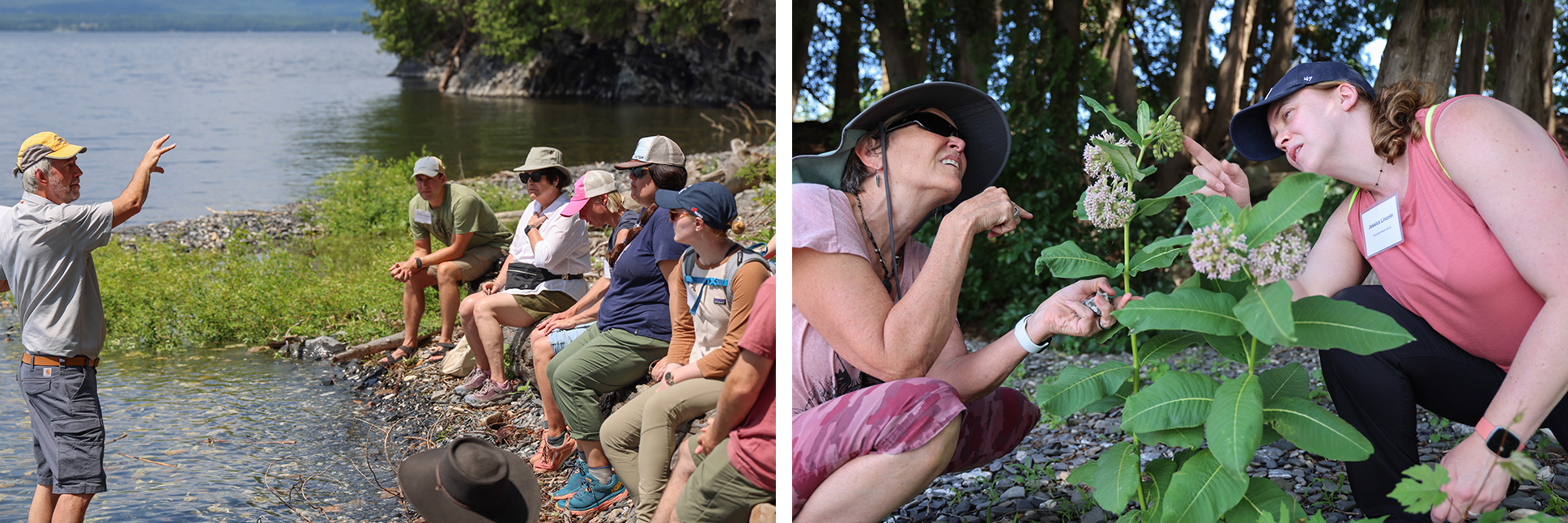 A collage of two images: A man stands in ankle-deep water in a lake talking to a group of adults seated on a rocky shoreline, and two women kneel to inspect a milkweed plant