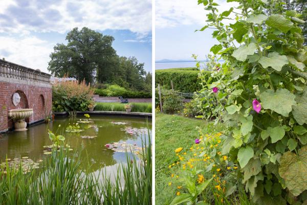Water lilies and plume poppies are in bloom in and along the Lily Pond. Hollyhocks in the Grand AllÃ©e.