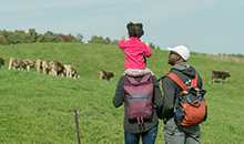 man and woman with child on her shoulders looking at cows in a field