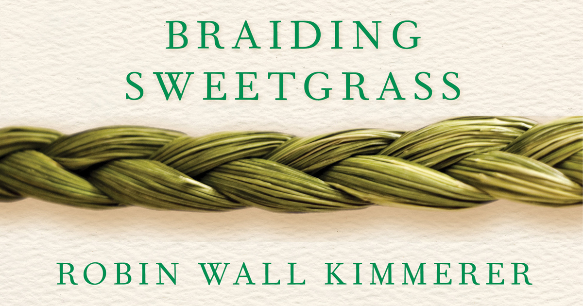 braiding sweetgrass author