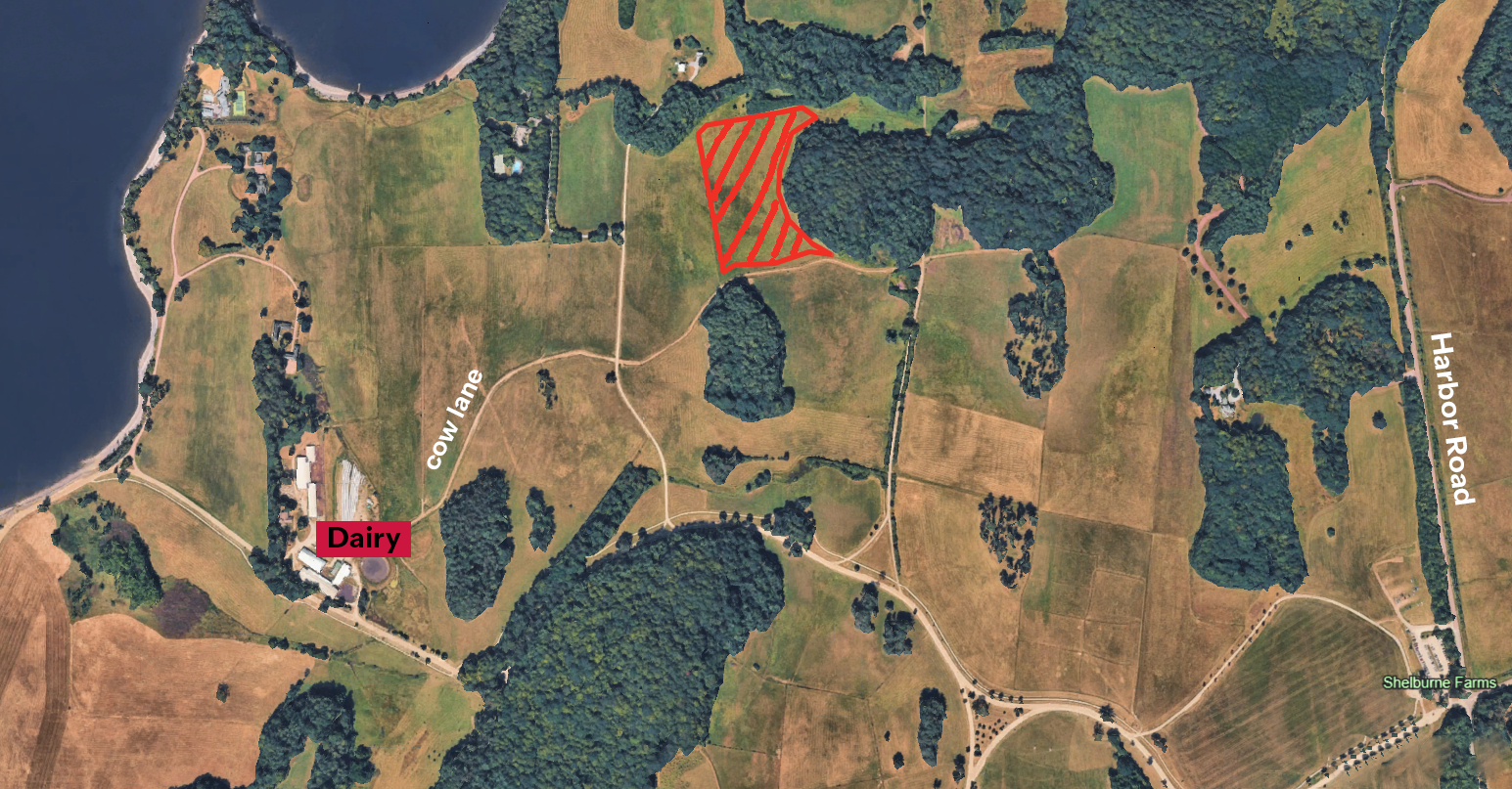 aerial map of fields and woodlands showing location of silvopasture in red hashmarks