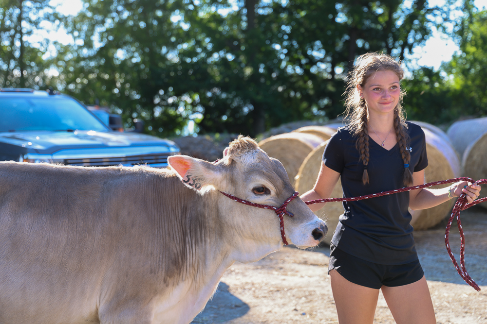 A young woman dressed in black shorts and a tshirt smiles while holding the lead of a large brown cow in front of a barn
