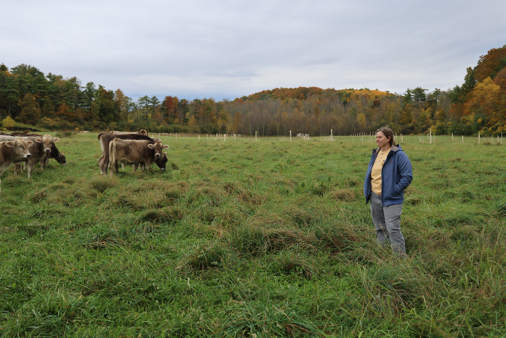 woman in fleece jacket and jeans stands in a pasture with cows around her.