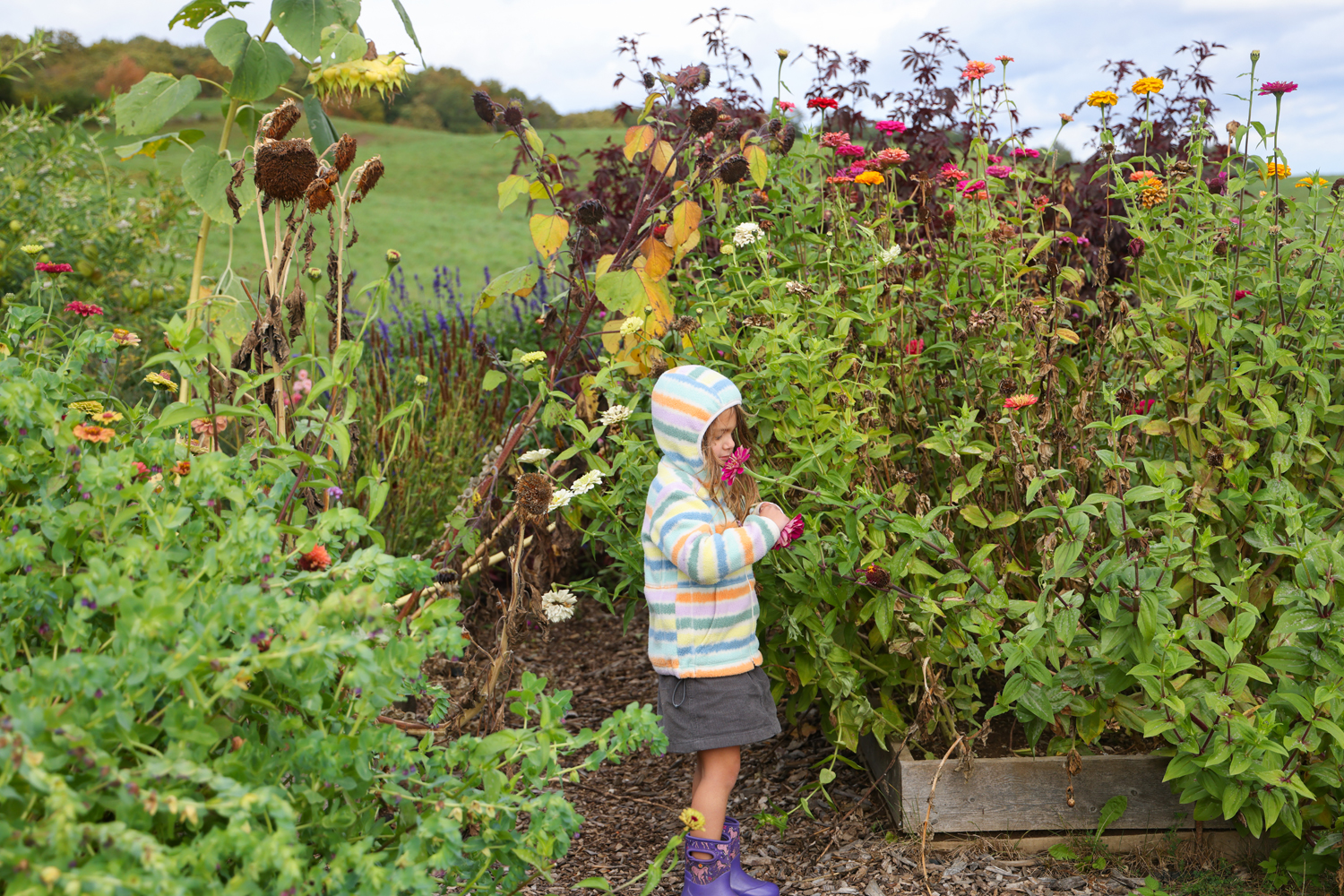A young child stands in a garden smelling a flower.