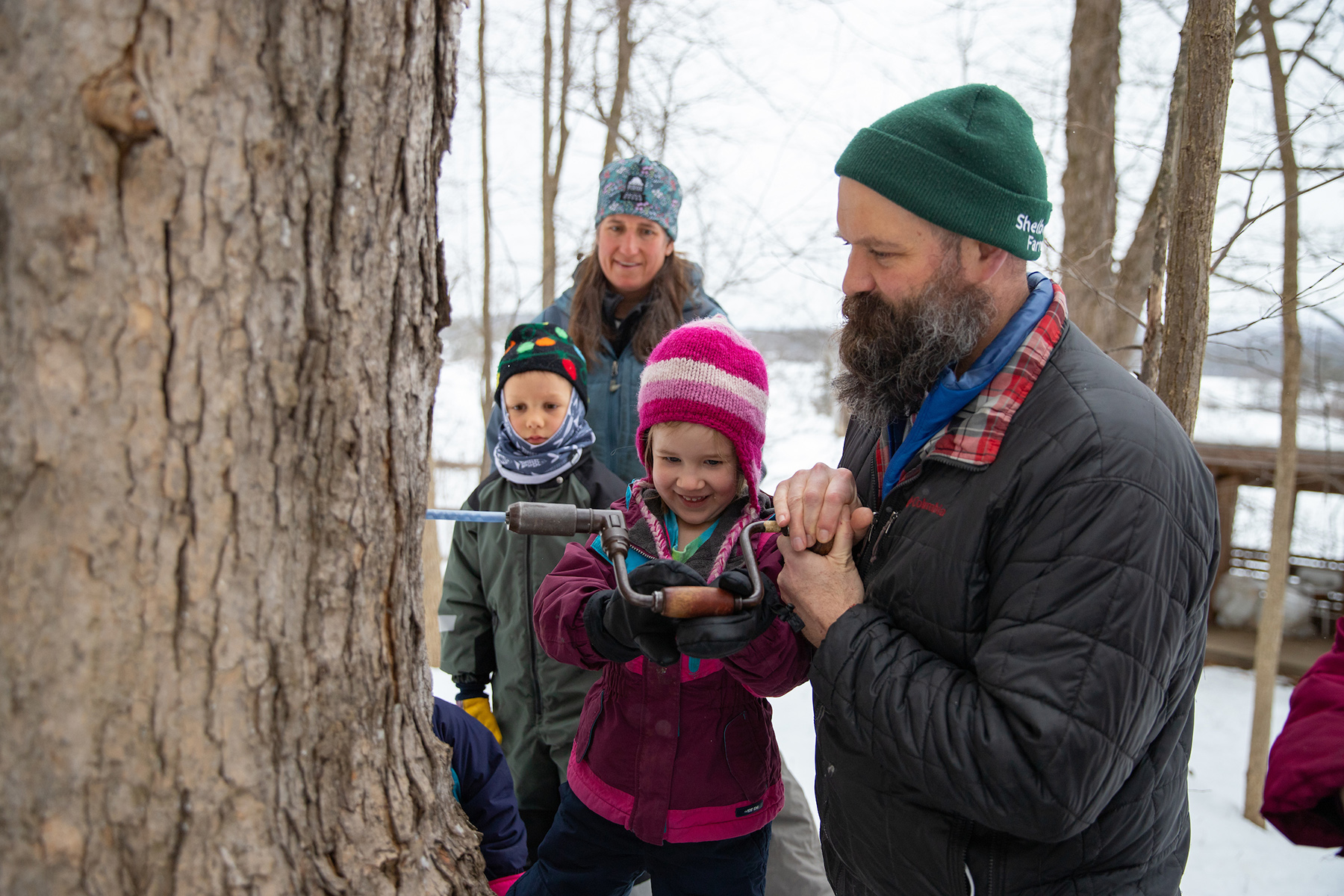 man in winter hat and beard holds drill against a maple tree while young girl turns the drill to make a tap hole