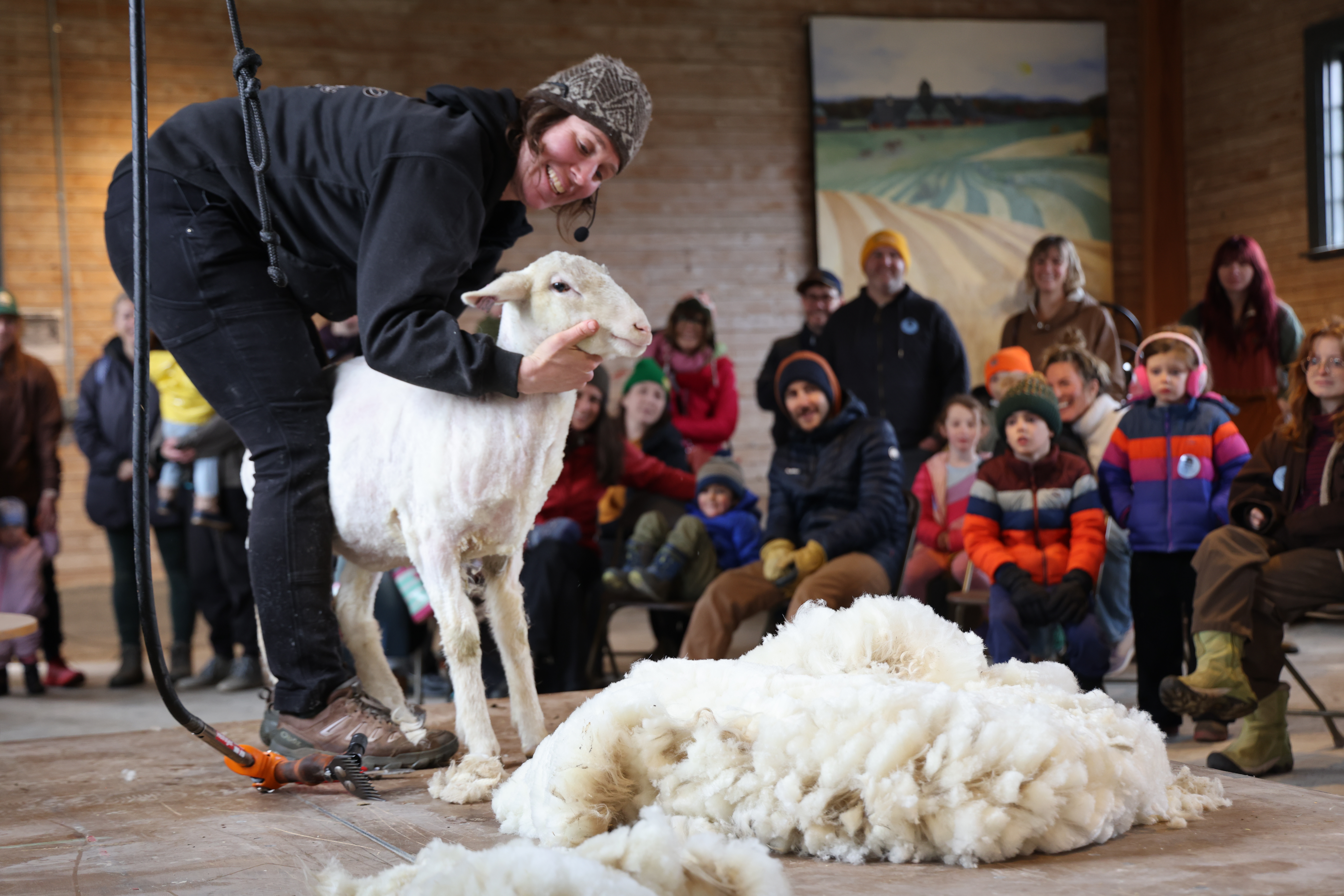 A shearer smiles holding a freshly sheared sheep's face in her hand. An audience looks on.