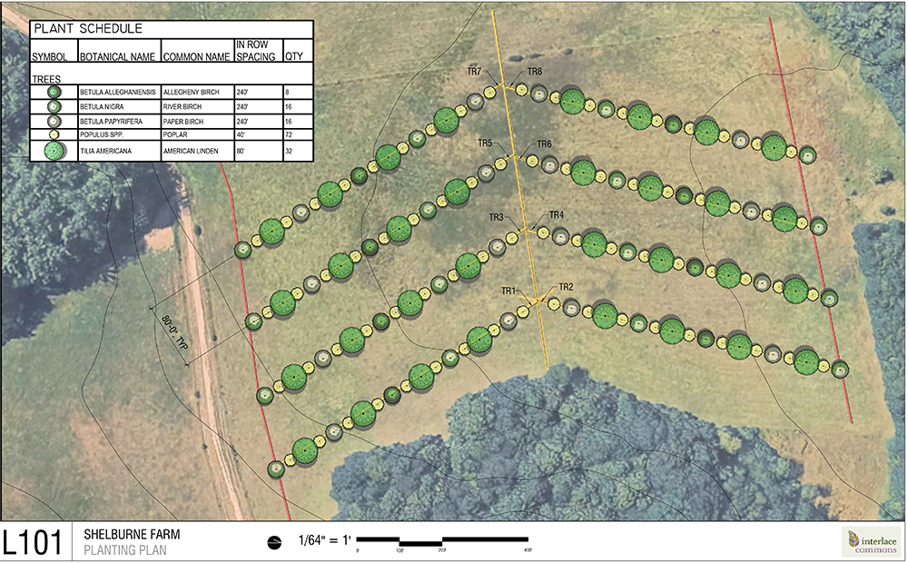 Aerial map showing underlying photo of a filed overlayed with 4 rows of yellow and green circles indicating trees.