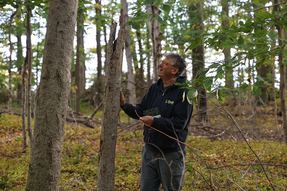 A man smiles while studying a tree in a forest in fall