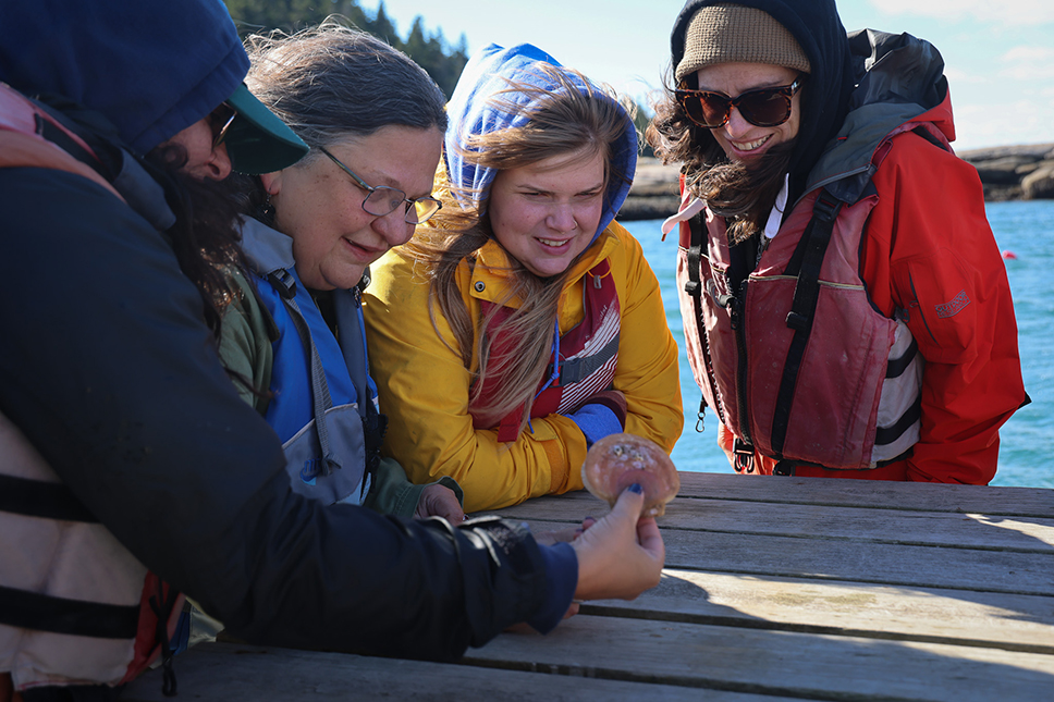 Four people gather around a wooden table on the ocean coast examining a scallop