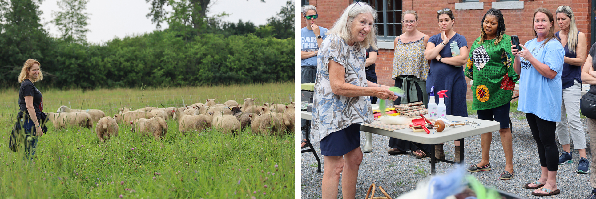 A collage of two images: A woman stands in a grass pasture, smiling, near a herd of sheep in summertime, and a group of adults gathers in a brick courtyard watching a felting demonstration