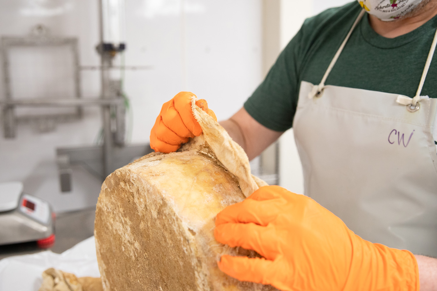 A cheesemaker peels muslin off an aged cheddar wheel
