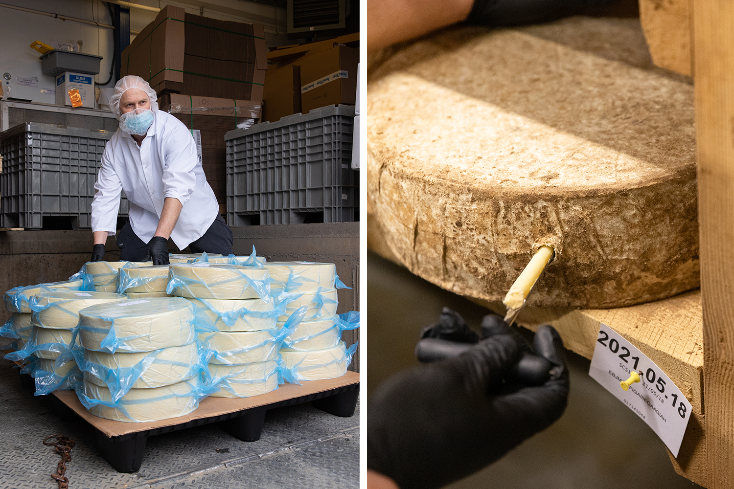 Two images: a man leans over pallet of vacuum-sealed cheese wheels. A cheese trier is used to take a cylindrical sample of cheese from a wheel for tasting. 