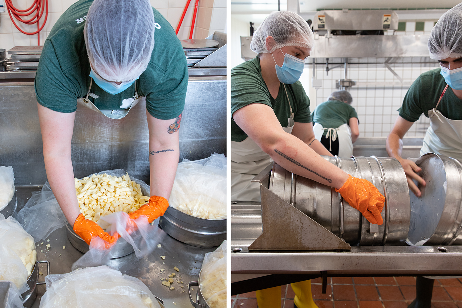 Two images: a cheesemaker fills a circular, metal hoop with small pieces cheese during the cheesemaking process. Two cheesemakers horizontally stack the metal hoops into a press. 