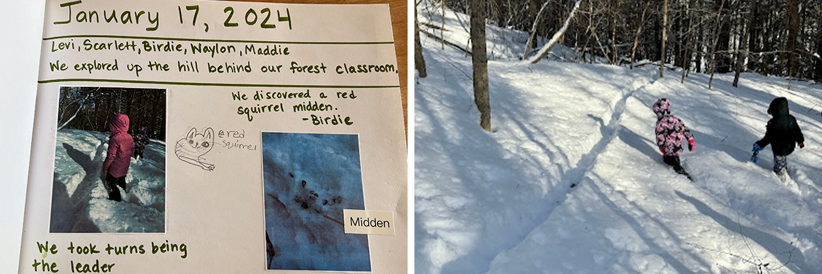 A collage of images of students exploring a winter forest and discovering a red squirrel midden