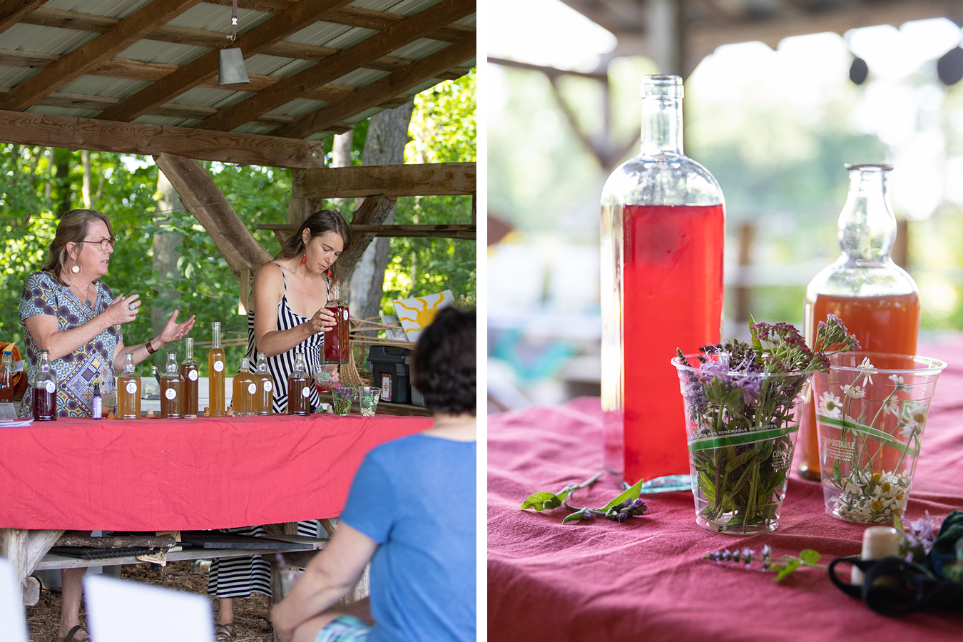 Two images: two women stand behind a table of beverage ingredients, speaking to a group; glass bottles filled with colorful herbal syrups and a cup of freshly picked aromatic flowers