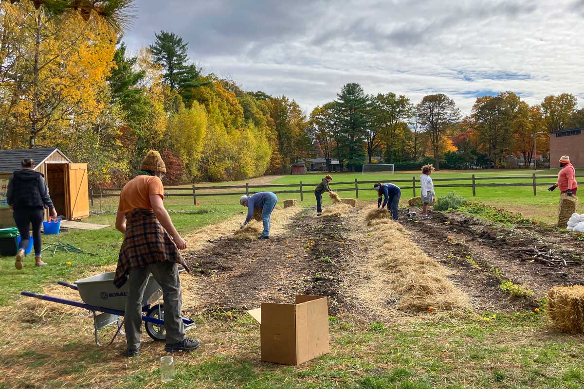 A group of people is working in a community garden, spreading hay over garden beds. The scene is set during autumn with colorful trees in the background.
