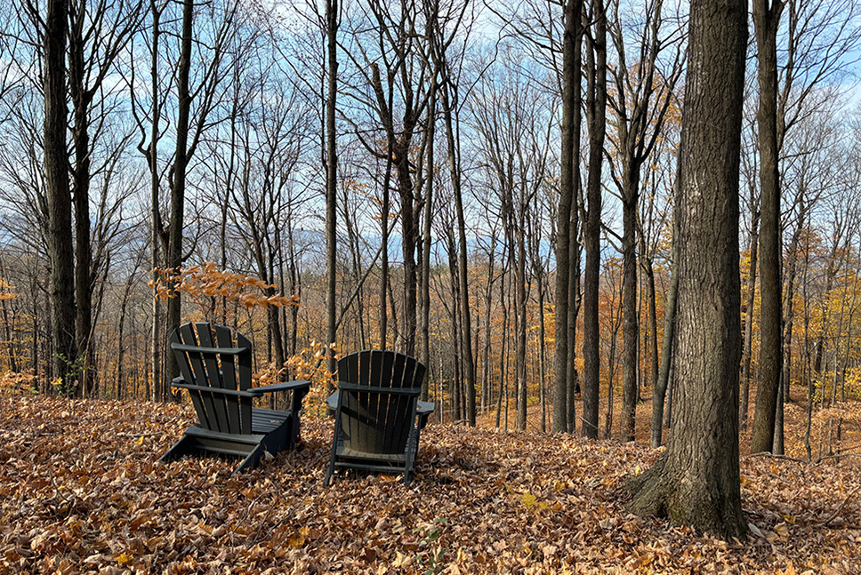 two adirondack chairs in the woods. Fall leaves on the ground; trees have no leaves.