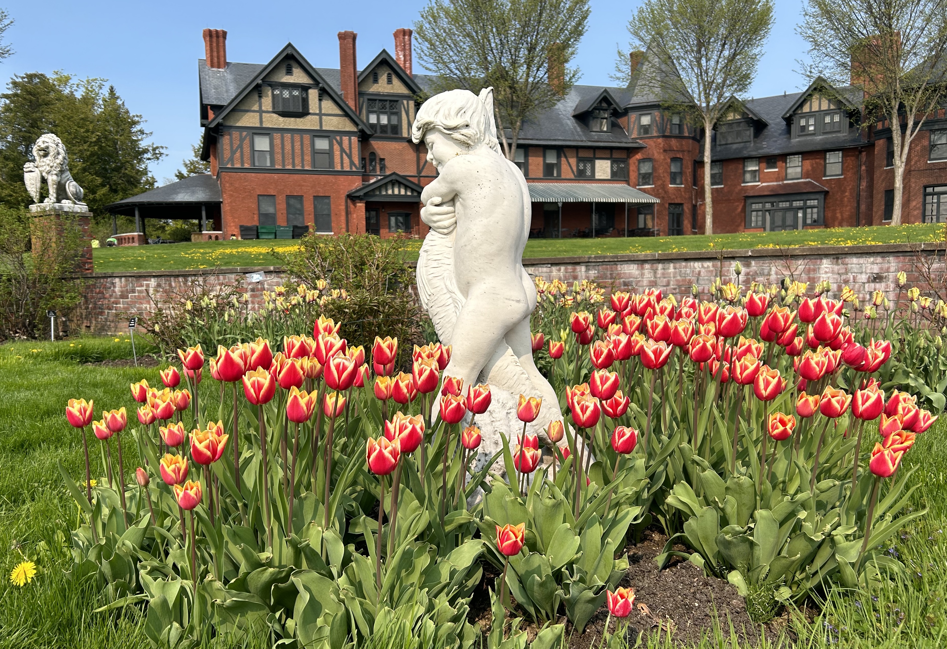 Inn with tulips and sculpture