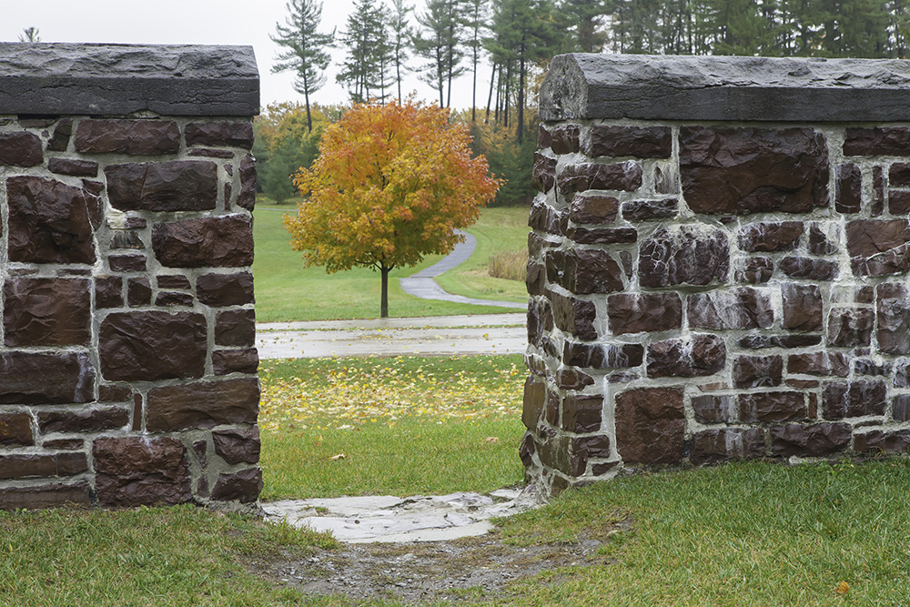 A maple tree in fall foliage framed by pedestrian opening in redstone wall.