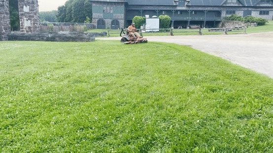 Mowing courtyard lawn of Farm Barn