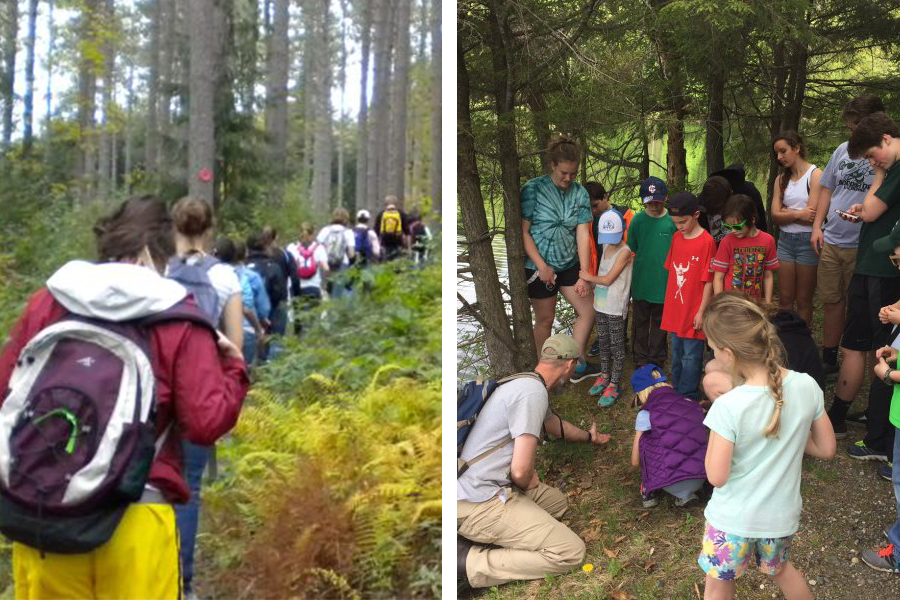 A collage of students of varying ages walking in the woods and studying the forest floor