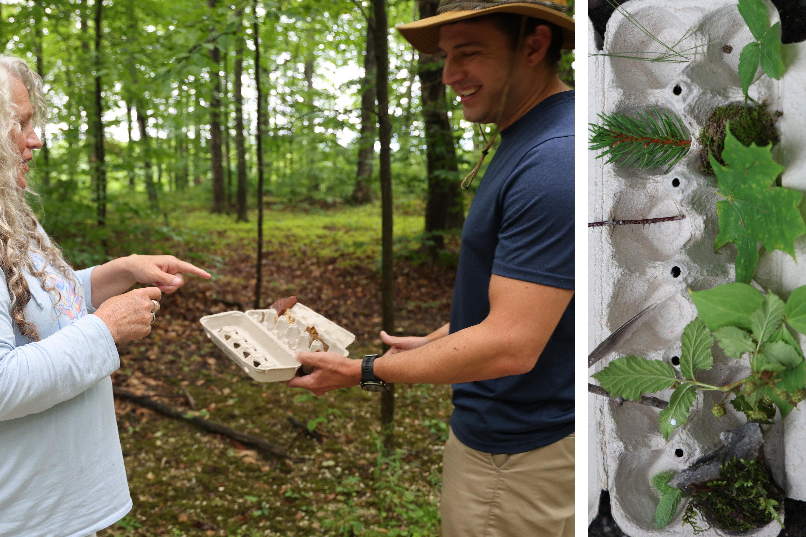 Two images depict adults collecting items from a forest floor and displaying them in an egg carton