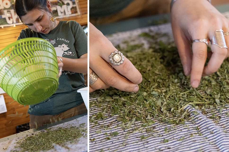 A woman processes dry herbs in a kitchen