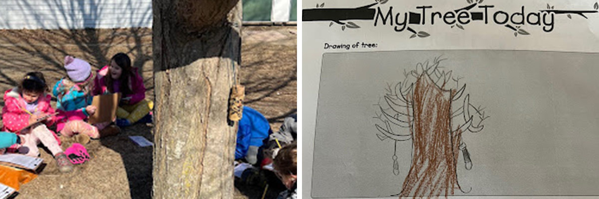 A collage of images of children learning around a tree and a drawing of a tree in winter
