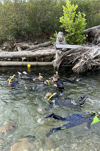 A group of young people snorkel in a river surrounded by forested riverbanks