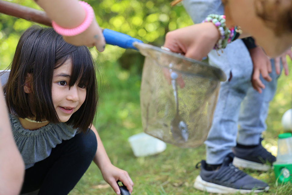 A young person gazes at a small net holding discoveries from a pond and smiles