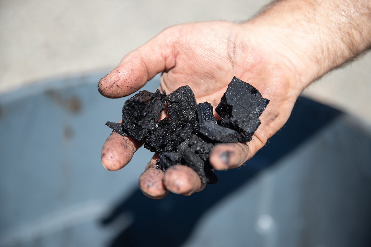 hand holding a bunch of biochar which looks like black bits of charred wood