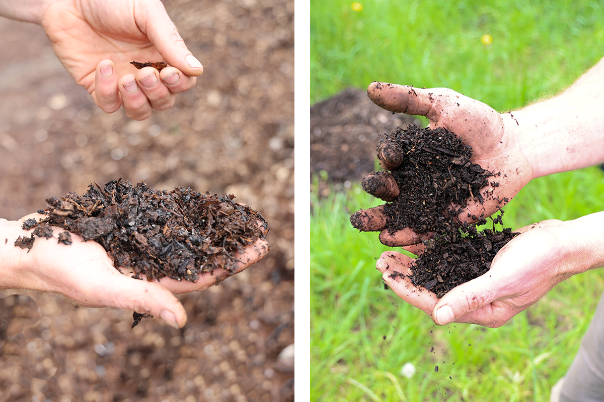 side by side photos of hands holding young compost with lots of wood chips (at left), and older, more finely sifted compost (right).