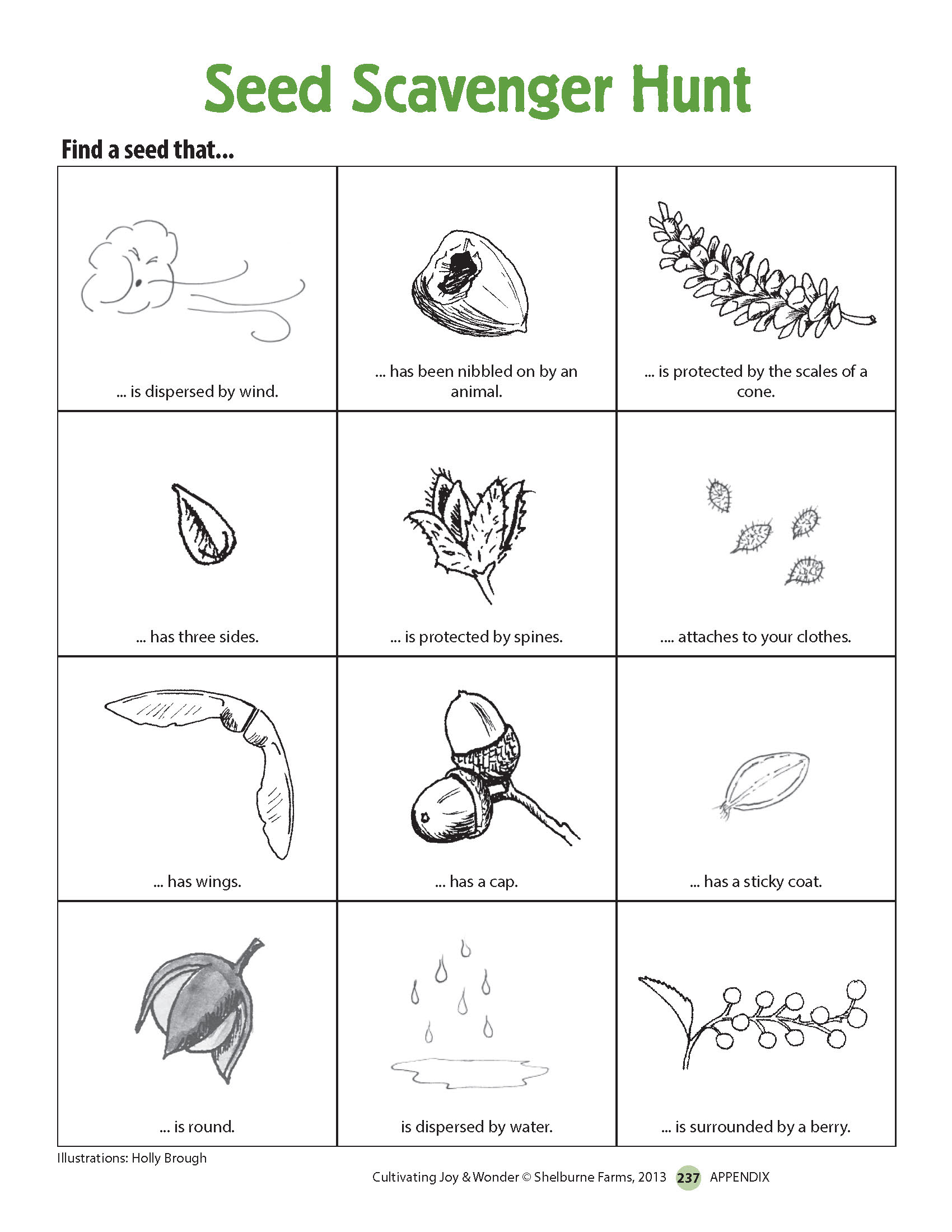 Seed scavenger hunt activity sheet
