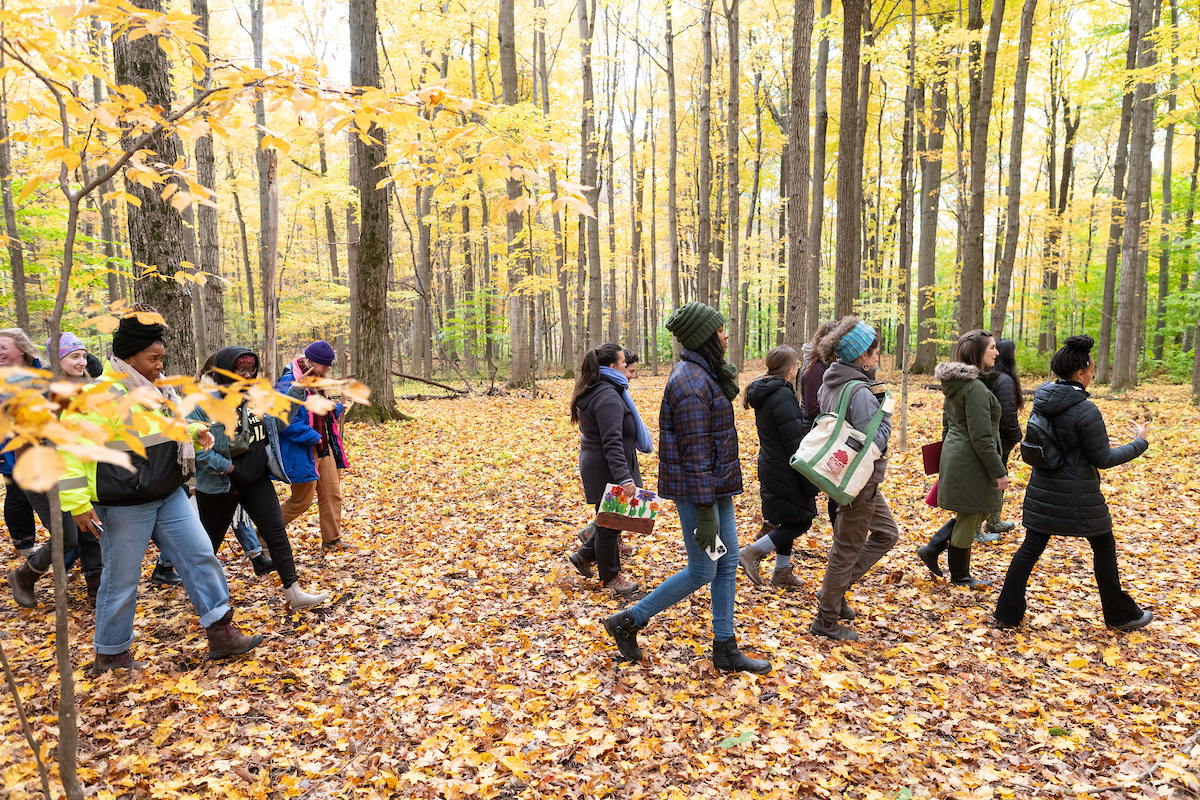 Group of about 12 people walking left to right through a golden-leaved forest