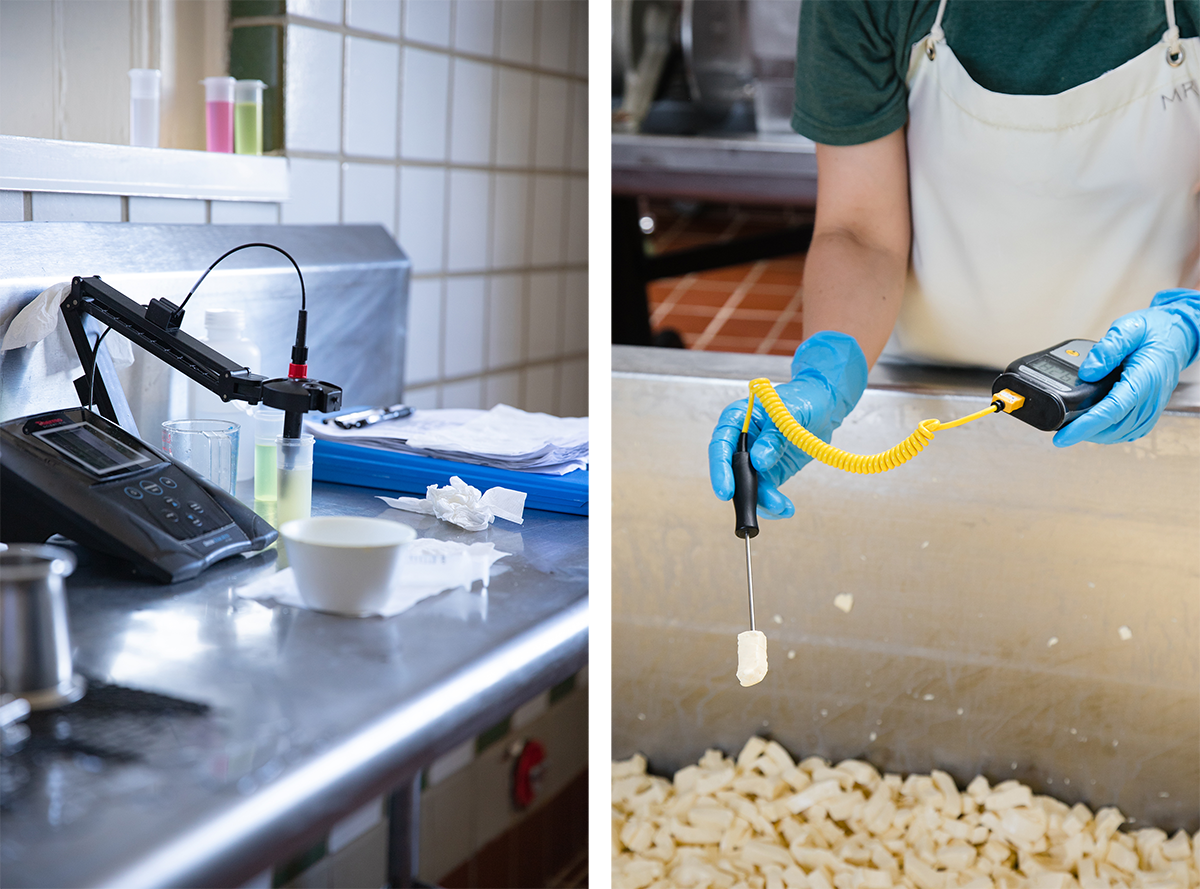two photos: equipment testing ph in small vial of liquid whey; person with blue gloves holding thermometer poked into a piece of curd over a cheese making vat.