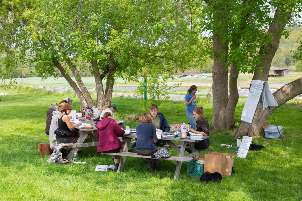 Farmers sit together working at picnic tables outdoors