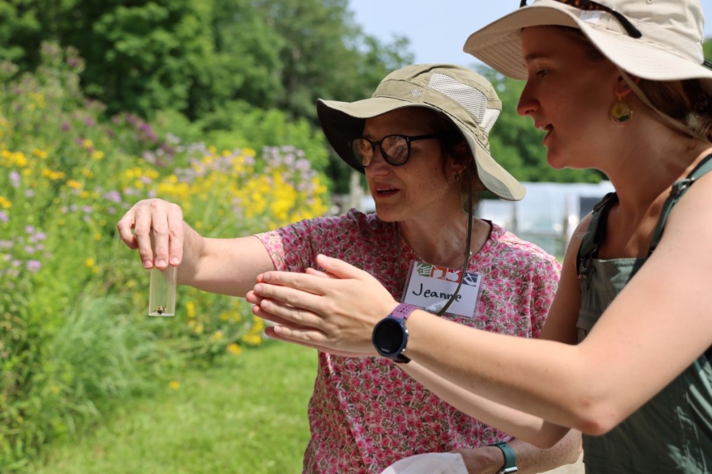 Leslie Spencer pollinator safari EFS