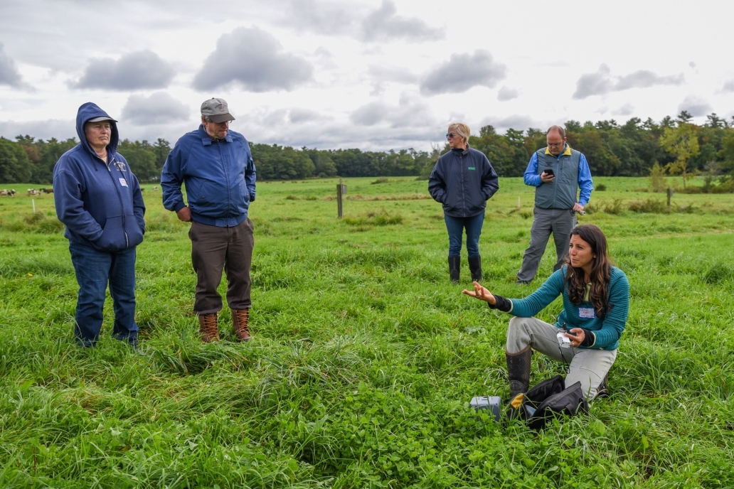 Four adults talk in a grassy pasture
