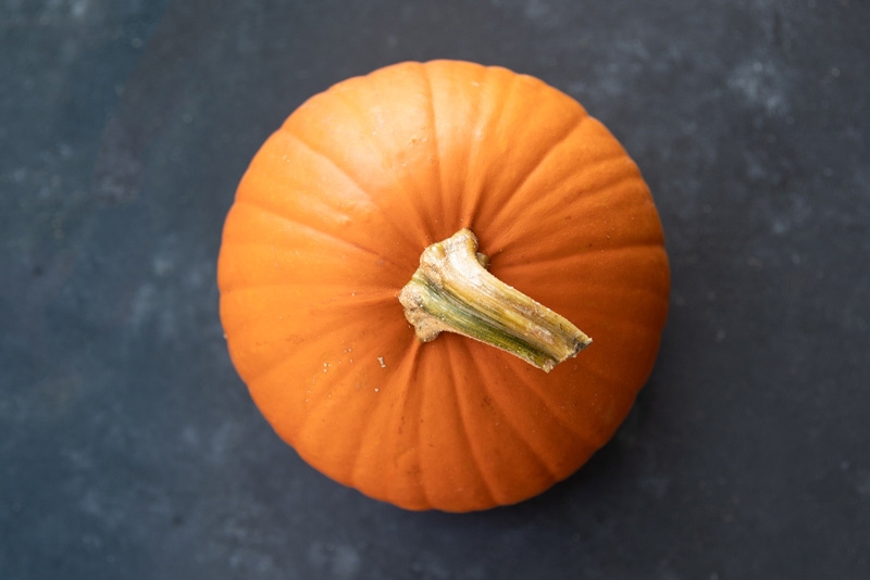photo of pumpkin