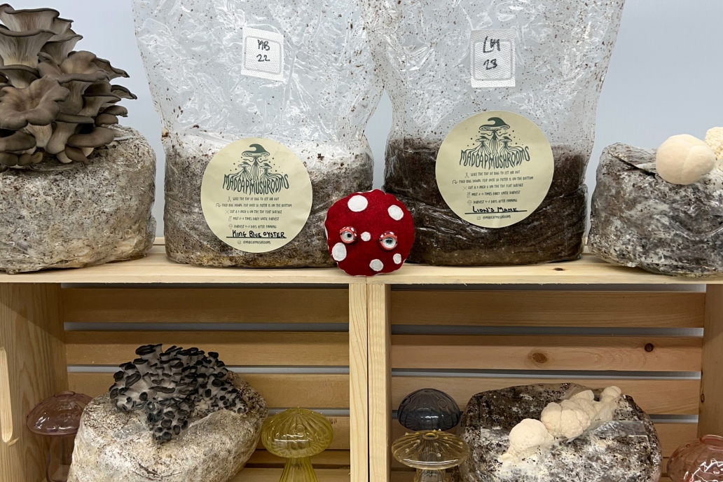 bag of mushrooms
