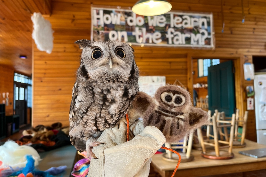 Ansel with felted owl