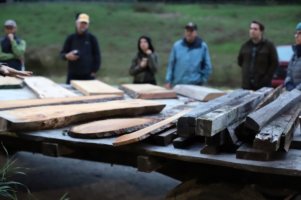 people looking at wood for building