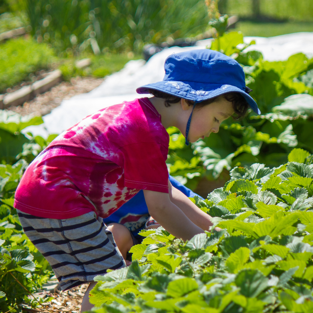child in garden