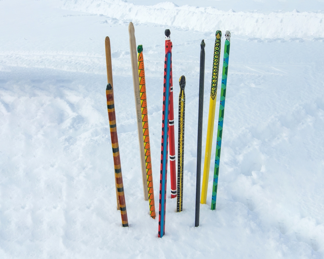 Snow Snakes - Diane Stevens Photography