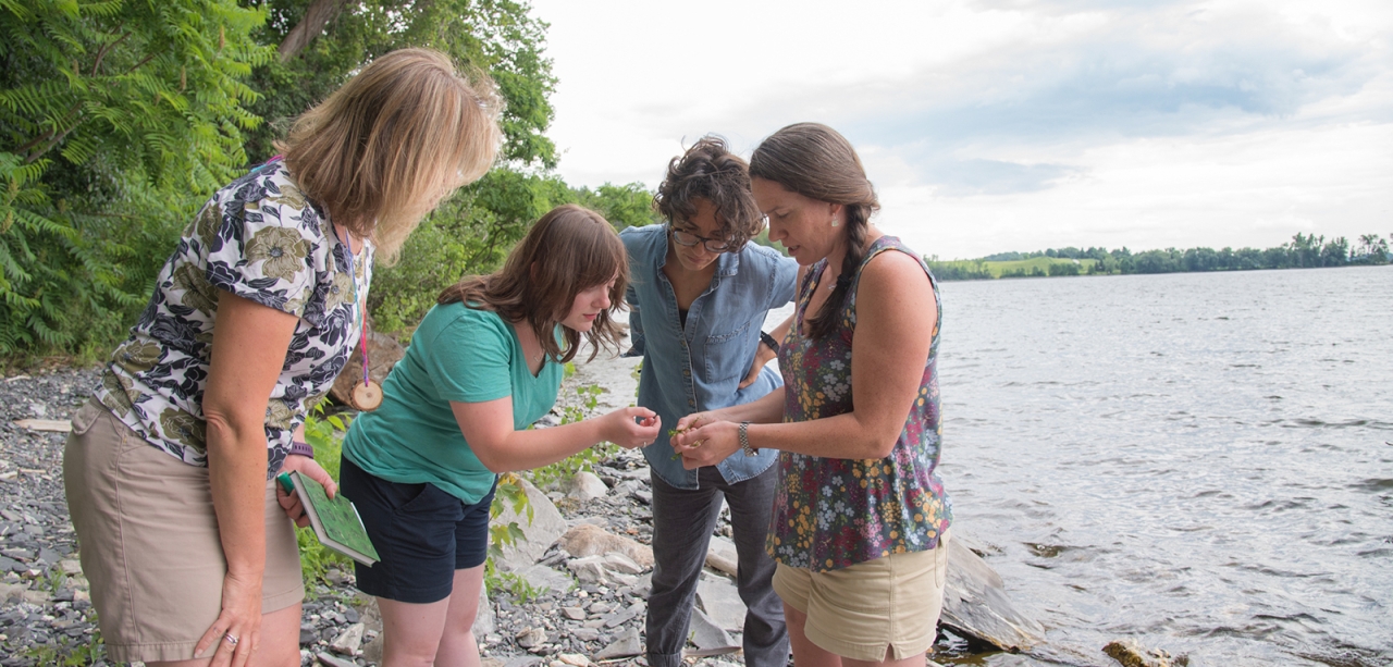 Four women on beach peering over small rock held by one of them, lake in background, 