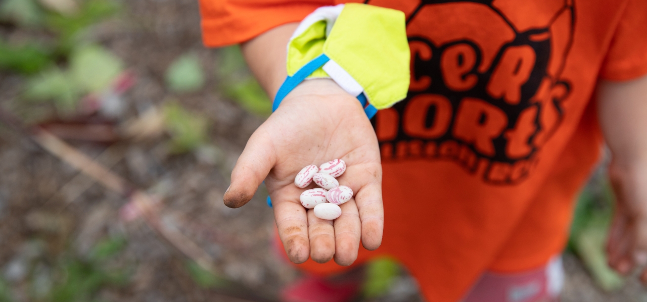 A child holds several colorful bean seeds in an open hand.