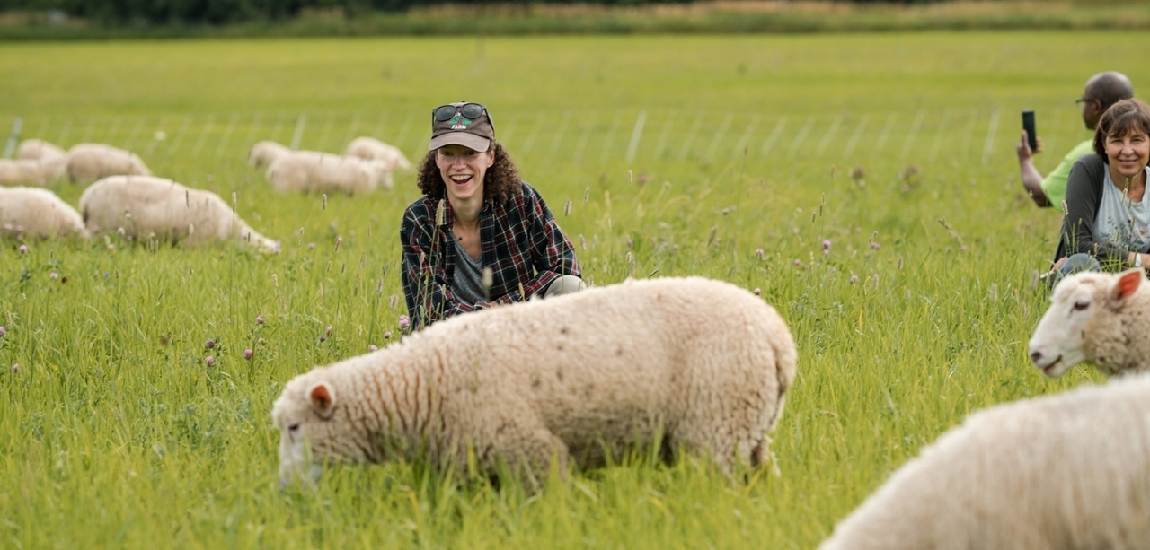 An excited woman smiles kneeling next to a sheep in a lush green pasture