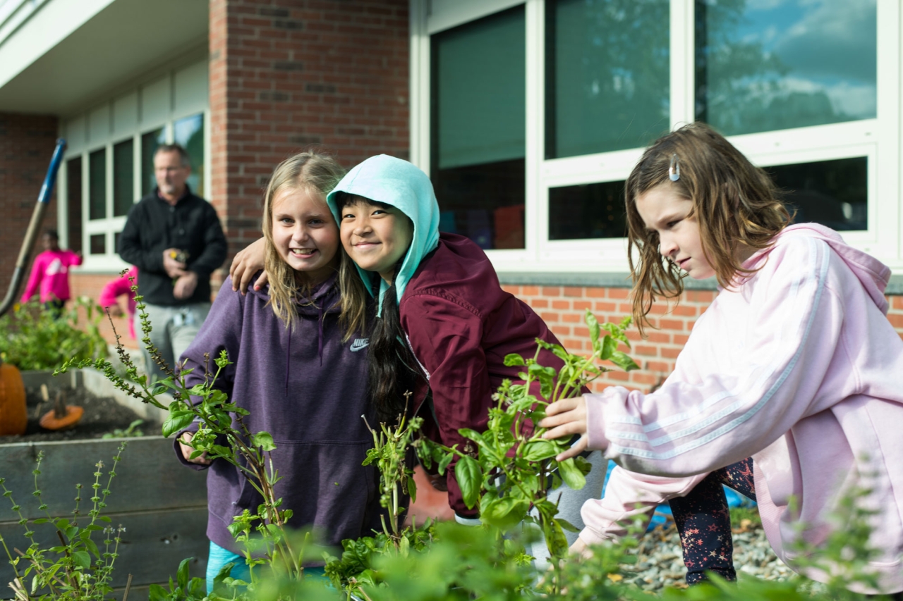 Three children gardening together outside a school building, with basil plants visible around them.