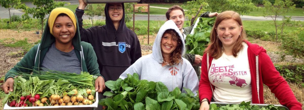 Five older students in a garden, holding crates of freshly harvested produce.